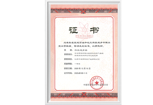 中石油化工联合会科技进步一等奖