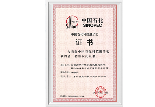 中石化科技进步一等奖
